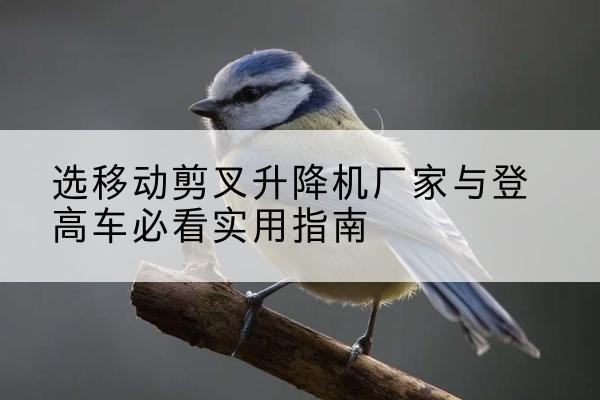 黄岛电动升降机厂家-选移动剪叉升降机厂家与登高车必看实用指南