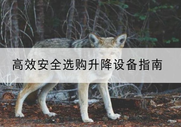 黄岛升降货梯厂家推荐-*安全选购升降设备指南
