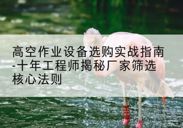 黄岛剪叉式升降机厂家-高空作业设备选购实战指南-十年工程师揭秘厂家筛选核心法则